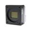 Basler beA4000-62km machine vision camera