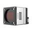 iRAYPLE AX5B51MT250E / AX5B51CT250E (5120x5120, 43fps, 10GigE, ~25MP) machine vision camera